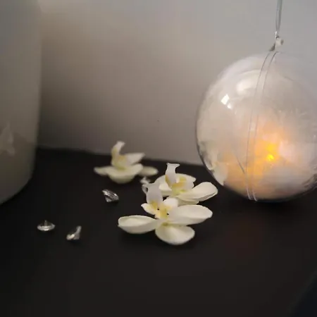 Nocleg ze śniadaniem Bulle D'extase Saint-Raphaël
